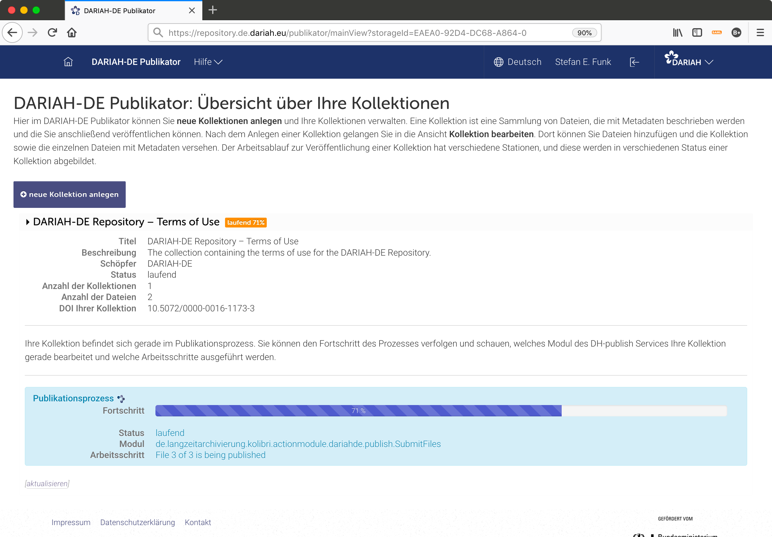 Der Publikationsprozess